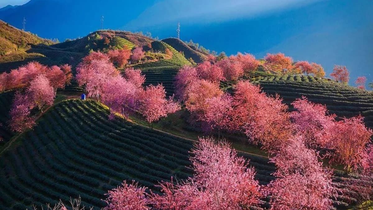 Sapa, Vietnam